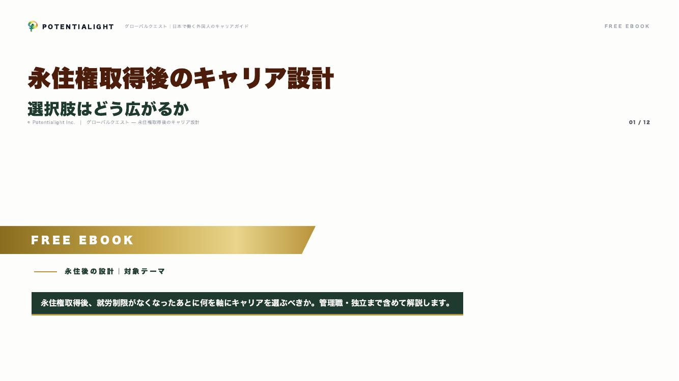 永住権取得後のキャリア設計 eBook表紙